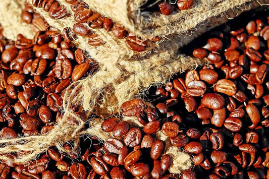 Ra Hygge KAWA ARABICA SHITAKE ziarna 227 g
