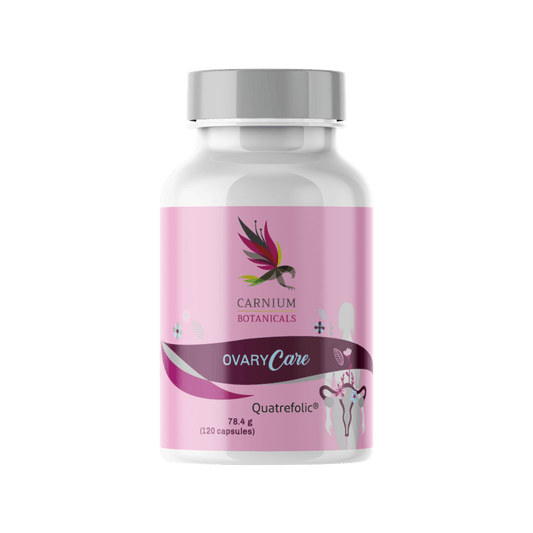 7ee885d2a28bed02d21f12df427fc275