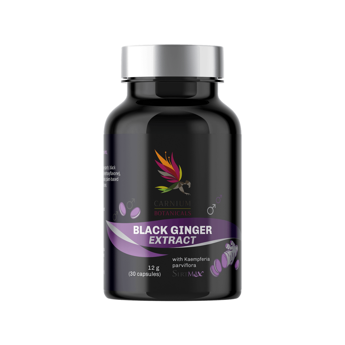 Carnium Botanicals Black Ginger Ekstrakt z Czarnego Imbiru 30 kapsułek