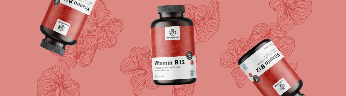 Healthy World Witamina B12 500 µg 365 tabletek