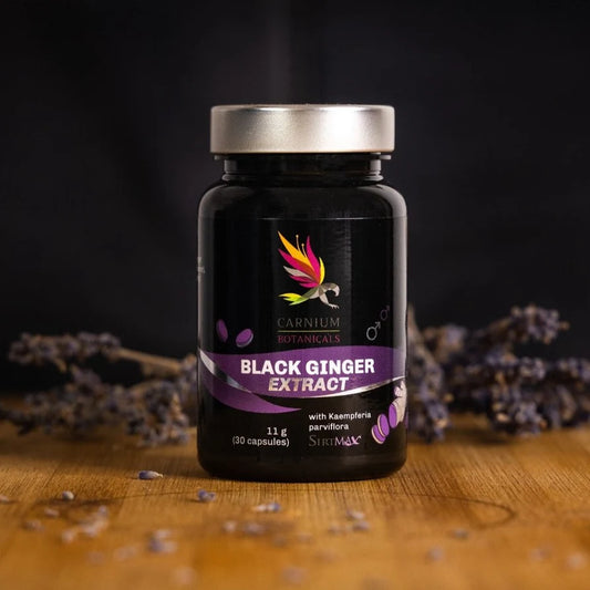 Carnium Botanicals Black Ginger Ekstrakt z Czarnego Imbiru 30 kapsułek