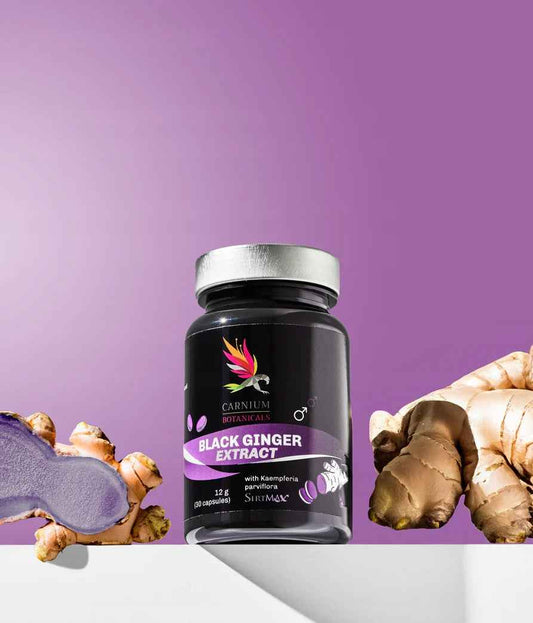 Carnium Botanicals Black Ginger Ekstrakt z Czarnego Imbiru 30 kapsułek