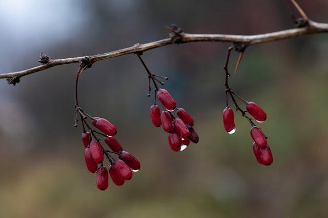 2afa08107b32e5265e950b2cc5faea3c