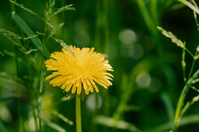 4dbada561361c5a4fba514e1aae2c361