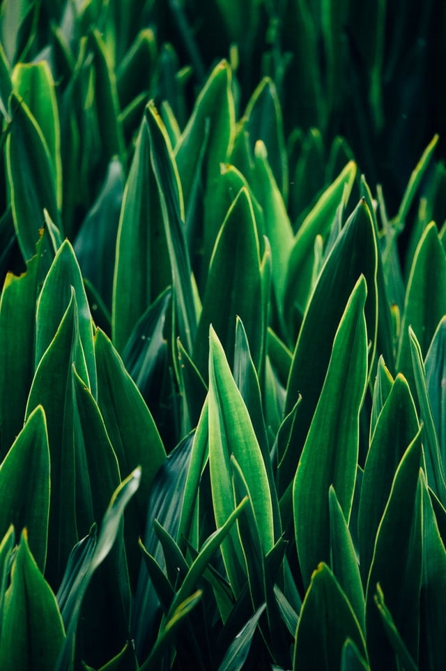 5bbd439b7d735a432092ad81f370b837