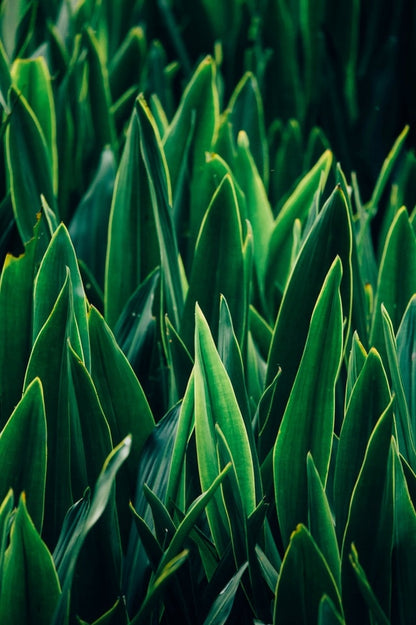 5bbd439b7d735a432092ad81f370b837