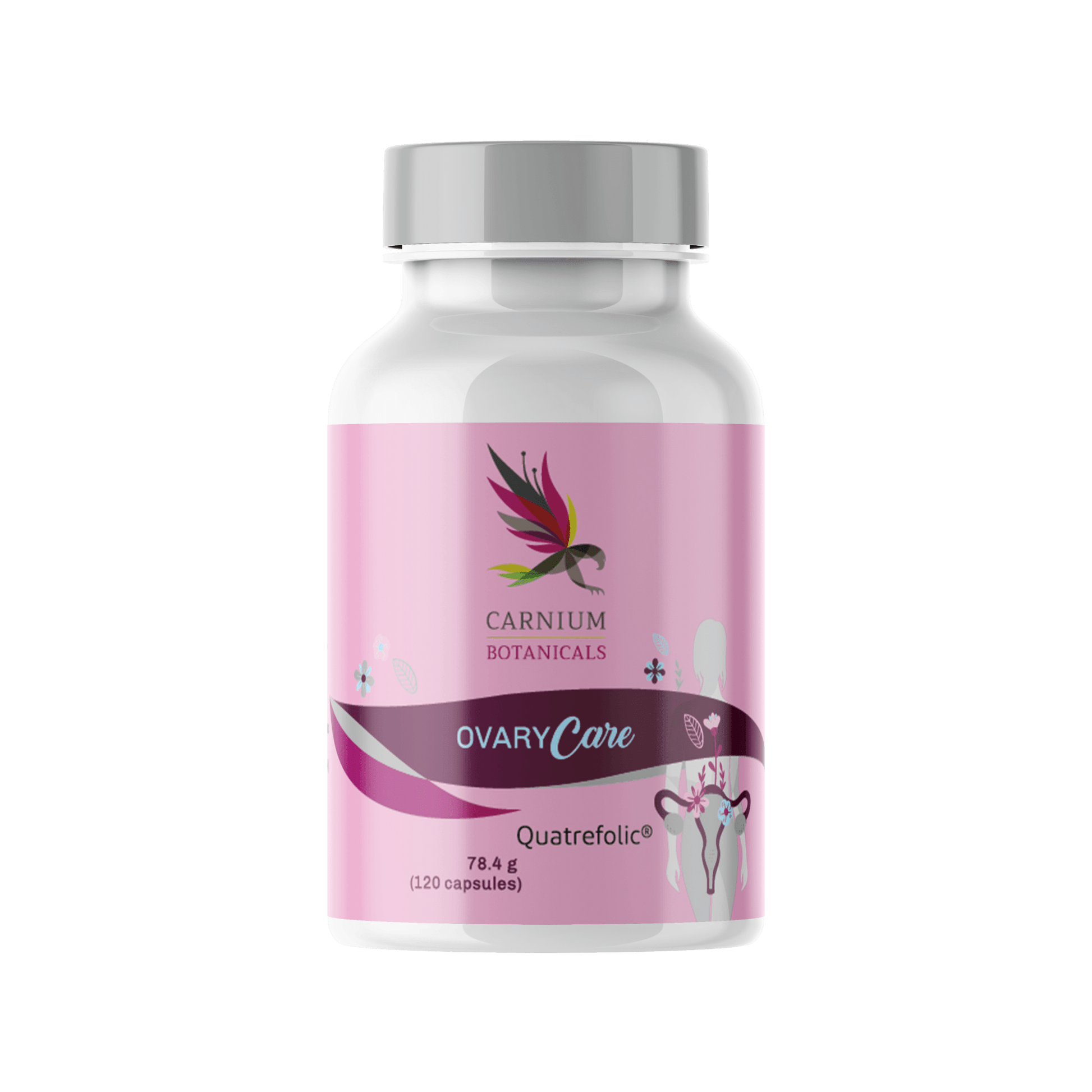 7ee885d2a28bed02d21f12df427fc275