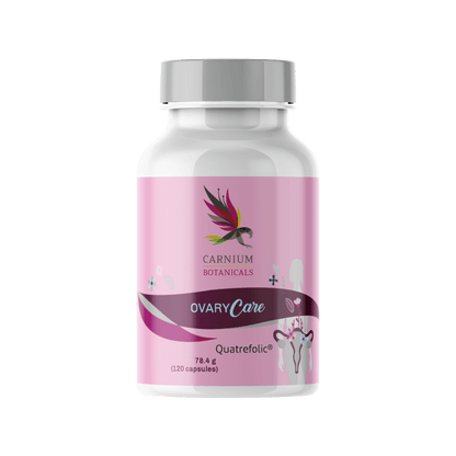 7ee885d2a28bed02d21f12df427fc275