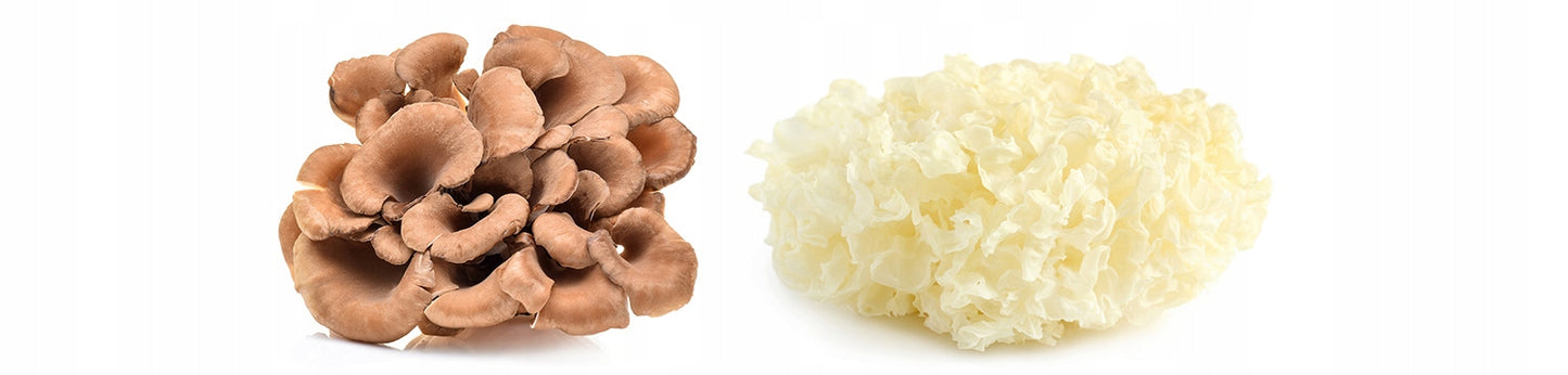 3639852ee96351e2463165df88e6519f