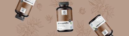 Healthy World Ashwagandha 500 mg  240 kapsułek