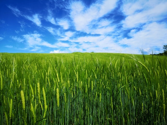 6c7c4329e04859d14ca3dcd2b45c044b