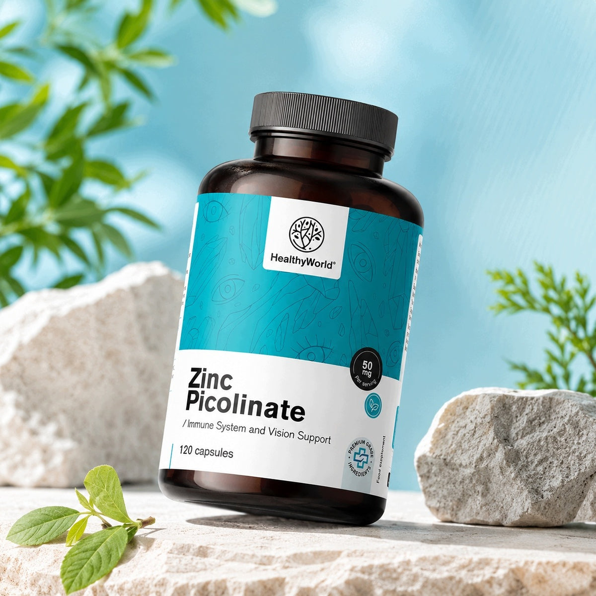 Healthy World Pikolinian cynku 120 kapsułek