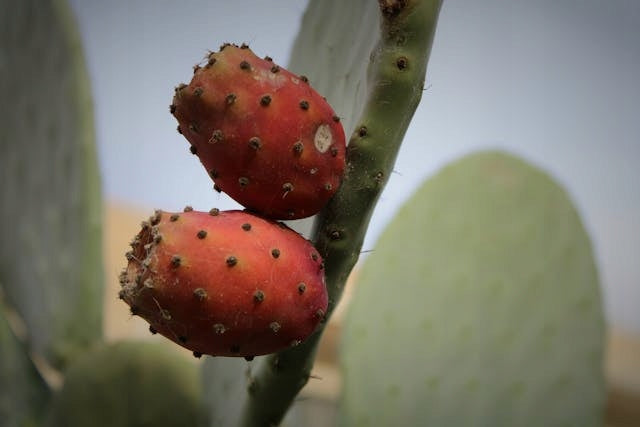 64c6867de3a0e83f9df5ddcbe0b63ede