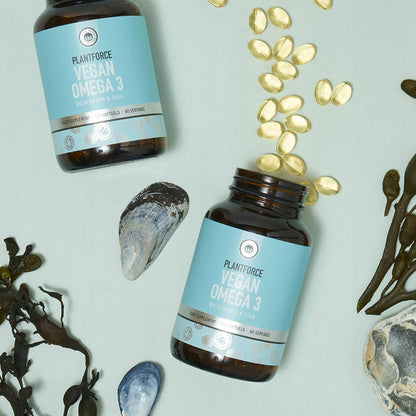 e511aea3f2eaf568f35c2a6dfcf7324c