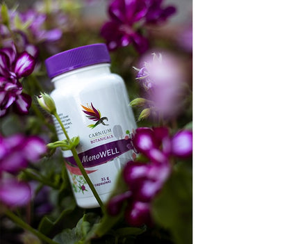 5631bacf410078ce78be011e7ead77a7