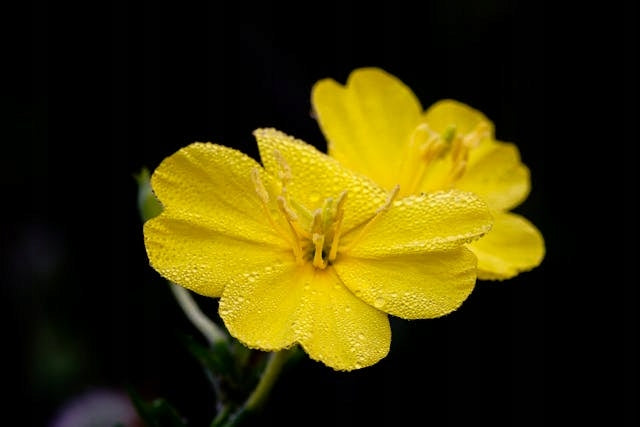 ac18a5ef518d5139ad9fc32839fca387