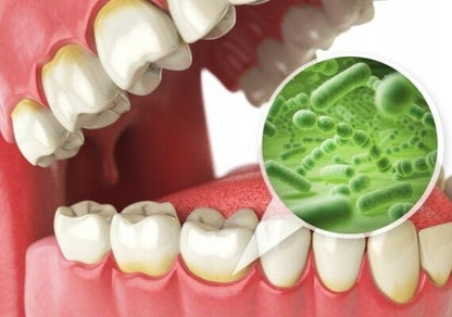 2decb8e00dd4148a59fd9ffa16318101