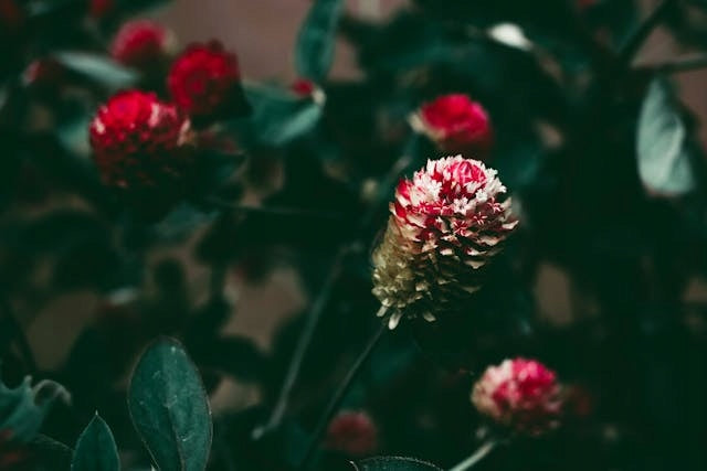 5bd9c0c1e15d1ffa15482f6ec30dcecf