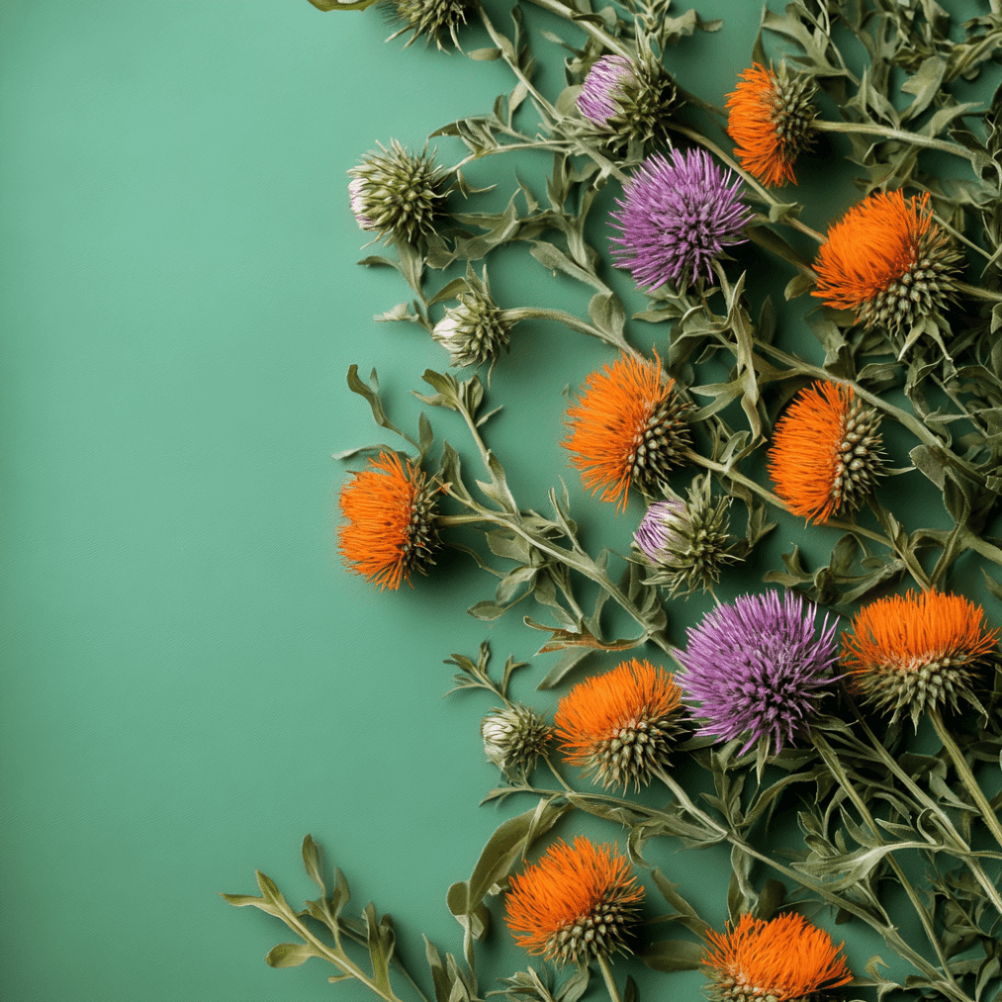 1215214ea995af87105c232d55c3ea14