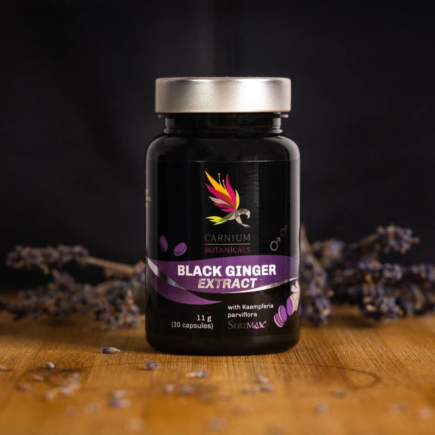 Carnium Botanicals Black Ginger Ekstrakt z Czarnego Imbiru  30 kapsułek