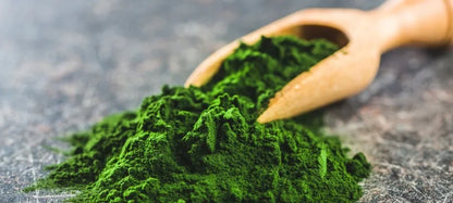 93cb1b0dca339f25bafa034efc03362a