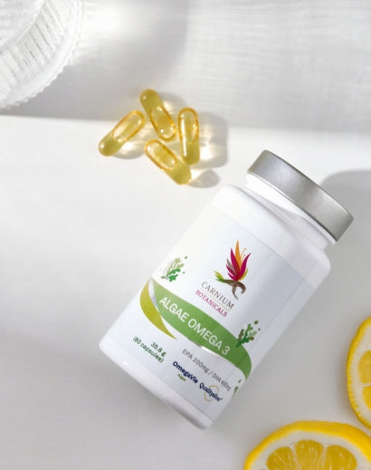 3ee68239d1f91028aabeafdaab4abb24