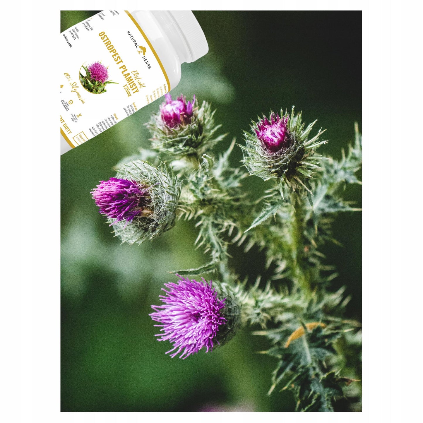 c5a84c6ea0b453a350f8b9731383775d