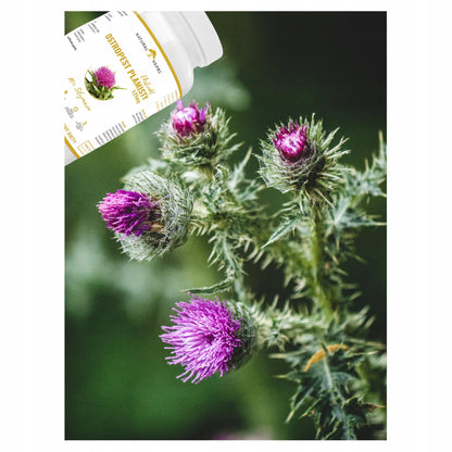 c5a84c6ea0b453a350f8b9731383775d