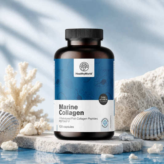 Healthy World Kolagen Morski 120 kapsułek