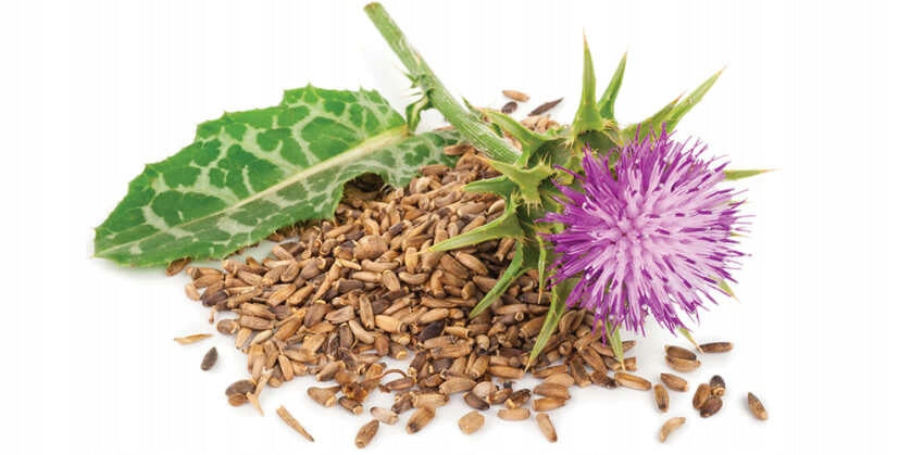 5c7f1db69133d7cd5e91f2668728b4bb