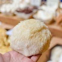 966d0ac2d1cf24656637533d85e5309e