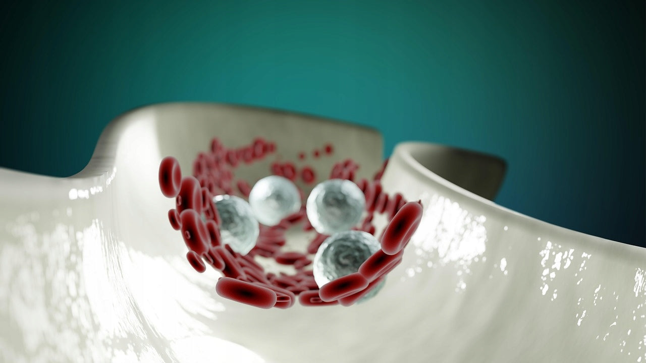 b07d6bfb7b4707f7d969fd1e36913058